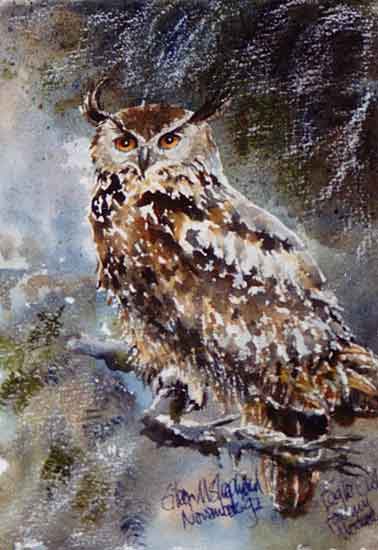 eagle owl