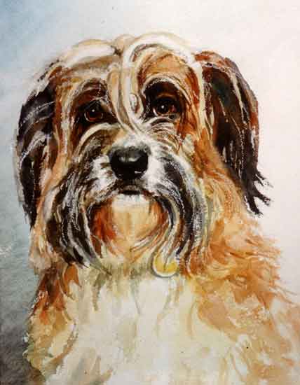 Yorkshire terrier cross watercolour painting