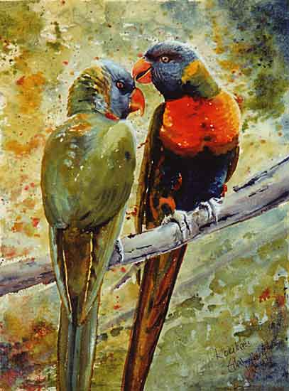 lorikeets