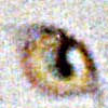 cat's eye