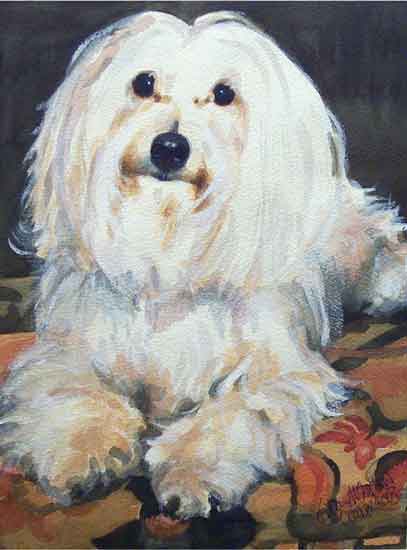 white dog
